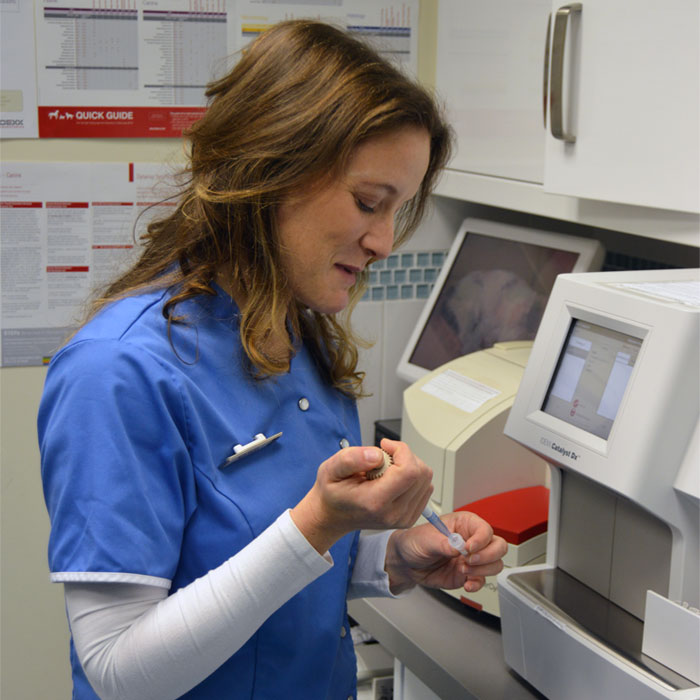 Ruth Harkin Briarhill Veterinary Clinic